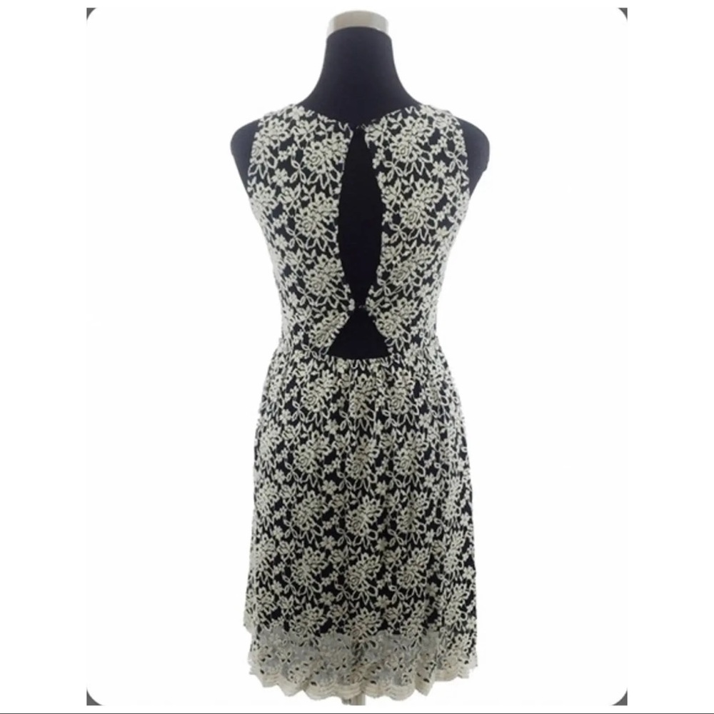 Floral Lace Sleeveless Scalloped Hem Dress - Picture 3 of 5